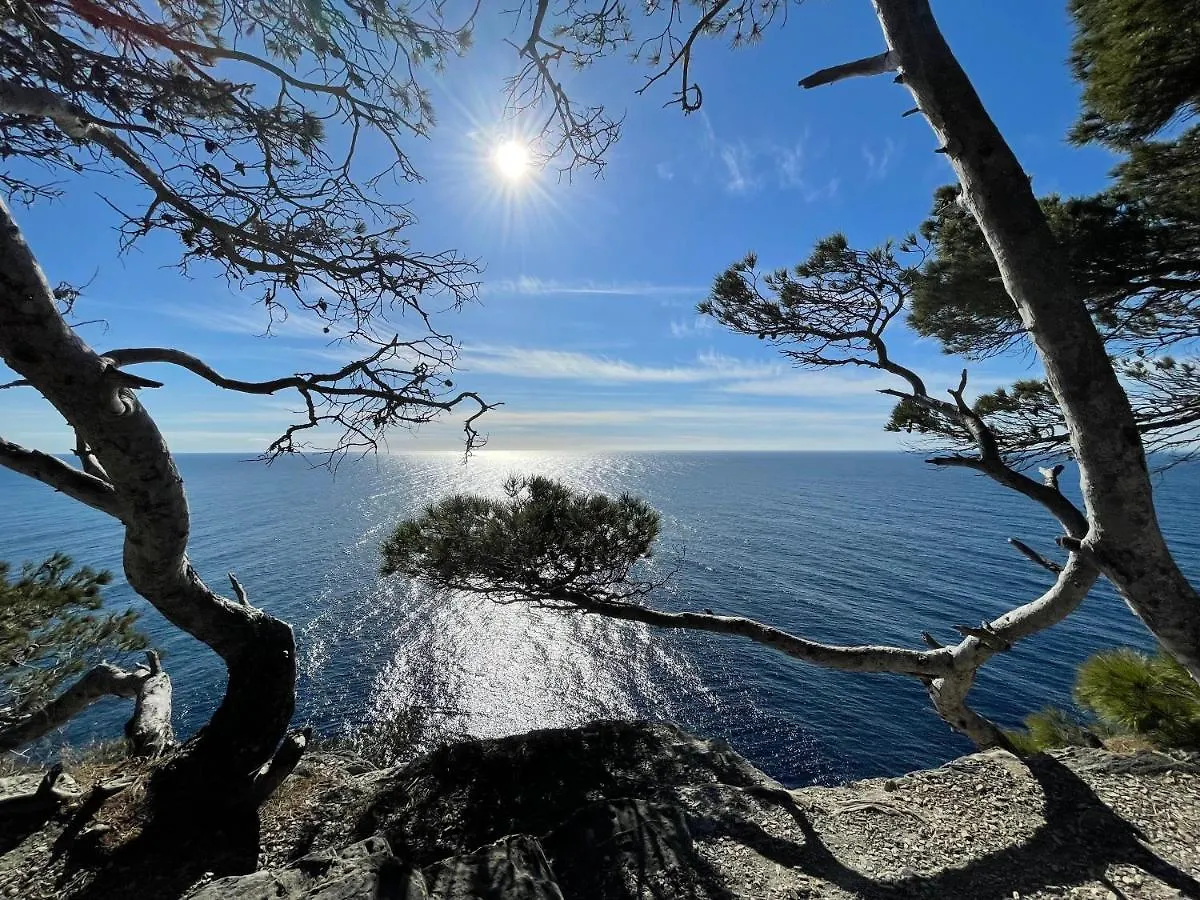 Appartement En Residence Privee, Face A La Mer Avec Acces Direct Plage location